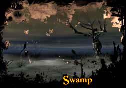 swamps